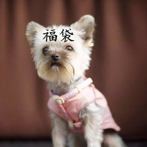 海伞百汇福袋 粉丝福利  长任选~退换!