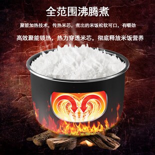 电饭煲内胆L升中山金纳斯JNJNDQ粘涂层锅胆