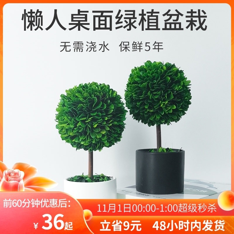北欧四季植物室内盆栽办公室桌面小绿植装饰摆件干花球形好养易活