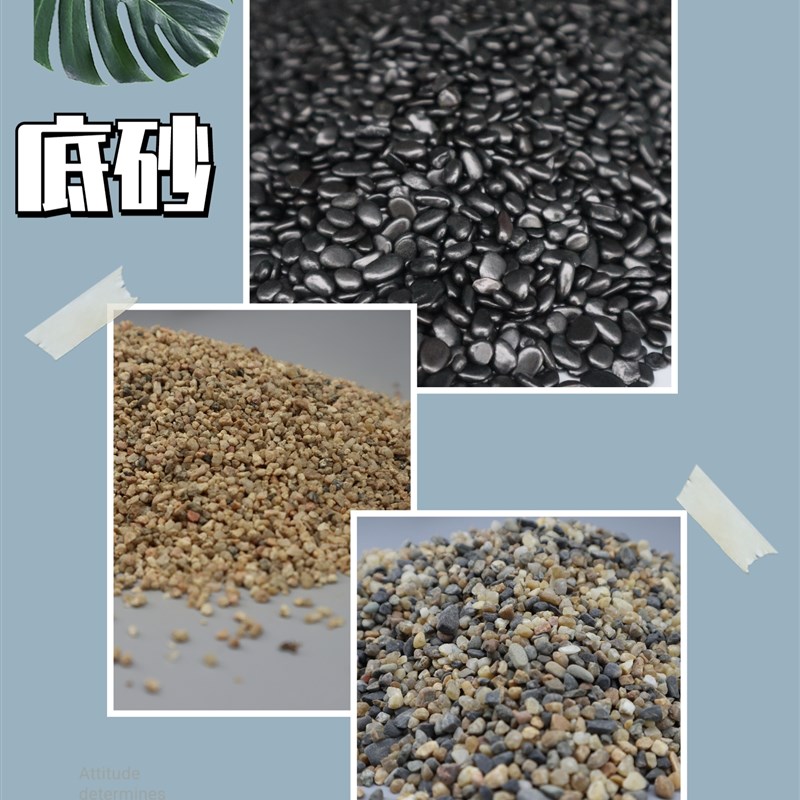 观背青鳉   底砂  鱼缸造景  生态缸 匠鱼青鳉鱼发色 古法养鱼沙