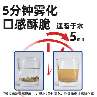 比宠低温烘焙猫粮兔肉配方成猫幼猫全期全价无谷高蛋白全阶段主粮