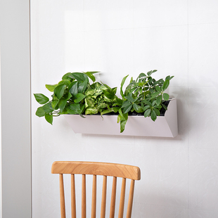 挂在墙上 免打孔免钉 花盆绿萝懒人盆储水贴墙花盆墙壁挂墙壁挂式