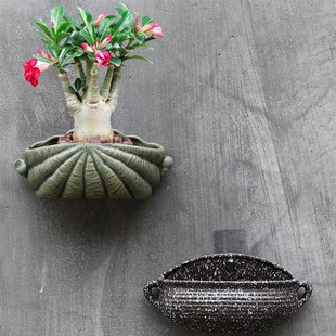 包邮 壁挂花盆陶瓷水培挂墙垂吊绿萝简易欧式 饰花器 免打孔装 悬挂式