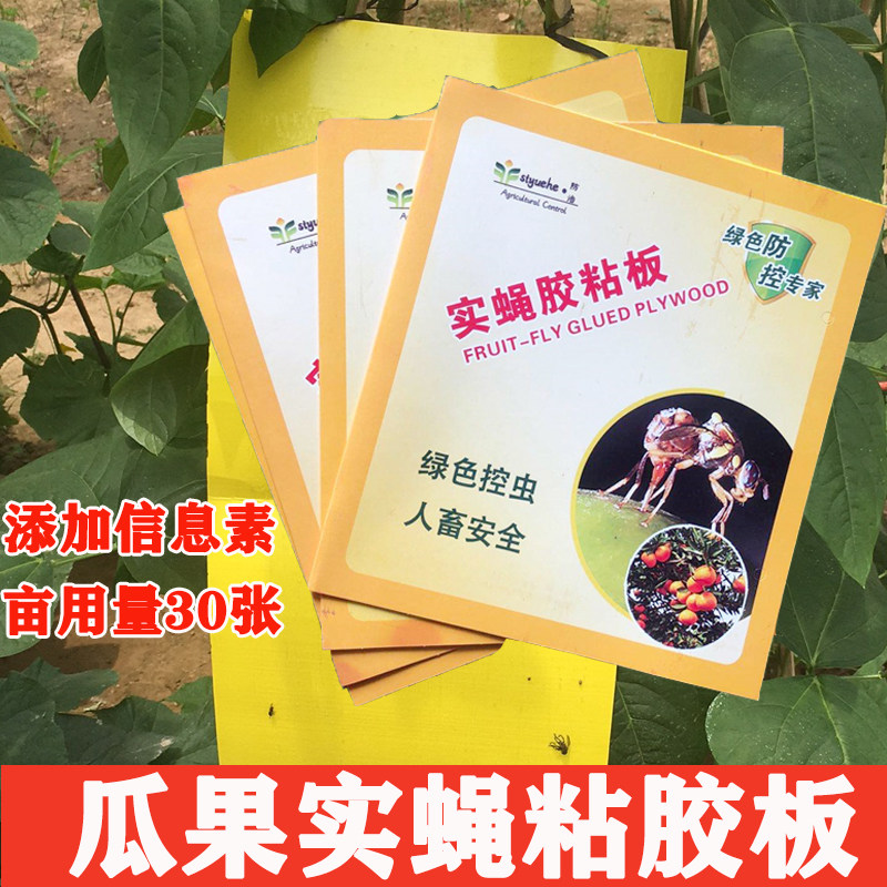 瓜果实蝇粘胶板果实蝇诱捕贴果园粘虫板信息素黏胶板诱杀针蜂黄板,鲜花速递/花卉仿真/绿植园艺,其它园艺用品,淘宝优惠券,粉丝福利购,淘宝优惠卷