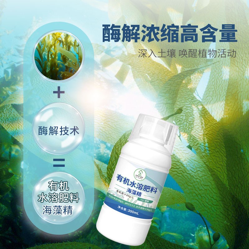 比利孚园艺海藻精有机水溶肥花卉果树绿植叶面肥壮根通用水溶花肥