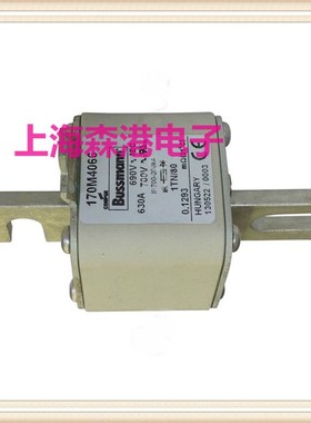 熔断器,保险丝底座熔芯170M4066
