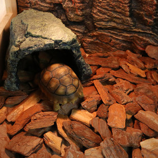 打磨树皮垫材乌龟蜥蜴守宫爬虫箱陆龟垫材蜥蜴天然松树皮