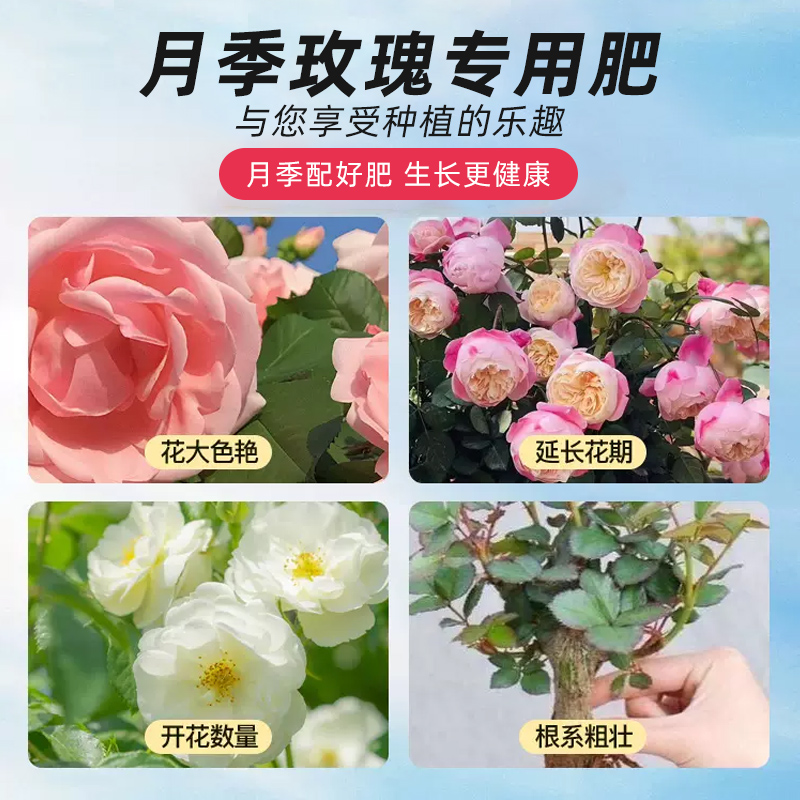 月季花肥料玫瑰专用肥家用盆栽通用复合肥有机肥营养液磷酸二氢钾