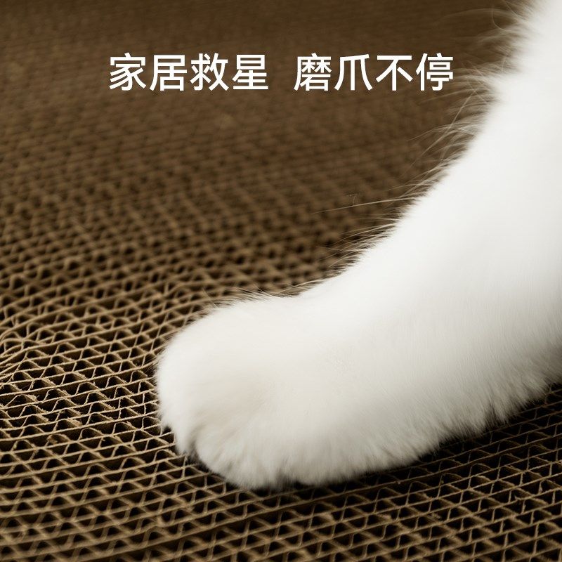 圆形猫抓板猫抓窝玩具一体耐磨耐抓不掉屑瓦楞纸四季通用猫抓板窝,宠物/宠物食品及用品,猫抓板,淘宝优惠券,粉丝福利购,淘宝优惠卷