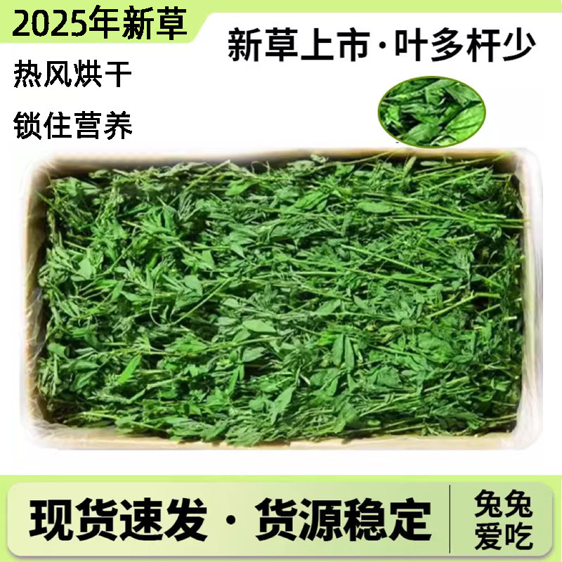 25年新鲜烘干苜蓿草幼兔叶子荷兰猪专用龙猫紫花新鲜烘干兔粮