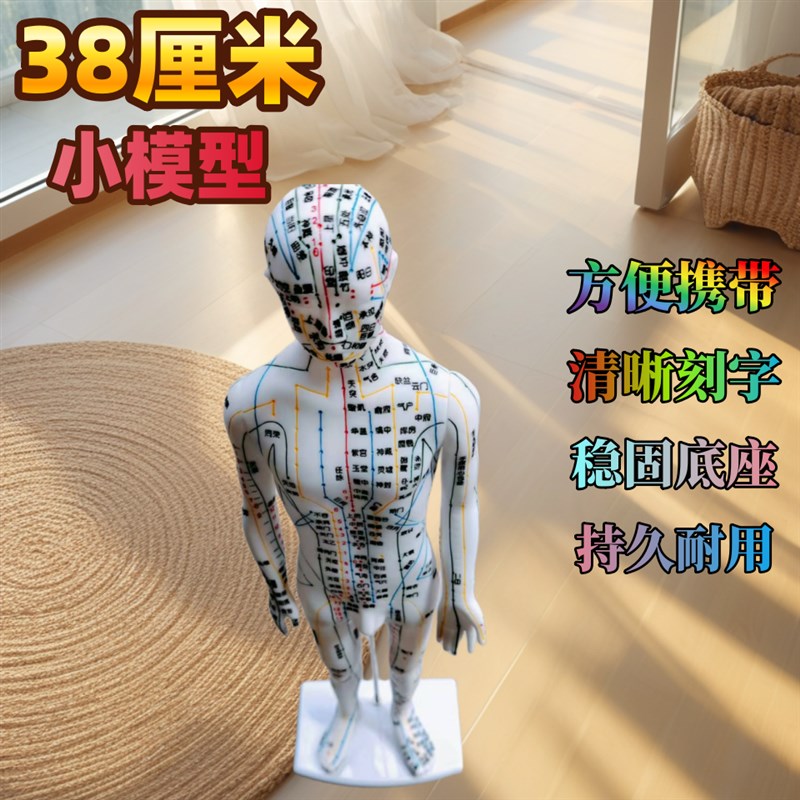 38CM人体针灸模型经络穴位模型身体十二经络铜色模特图可扎针