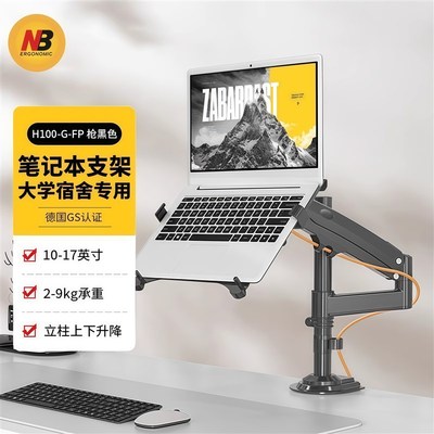 NB 笔记本托盘支架 笔记本显示器支架臂 H100-FP 立柱款2-9KG