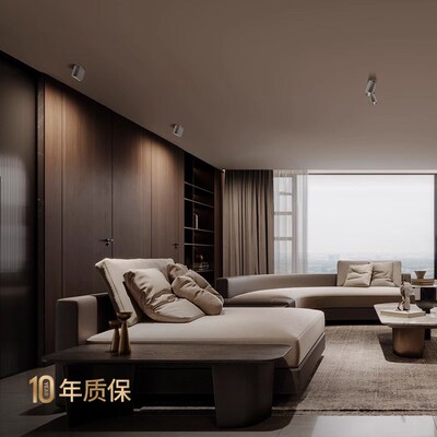 iilnLD明装磁吸度客厅照画聚光过道玄关洗墙灯