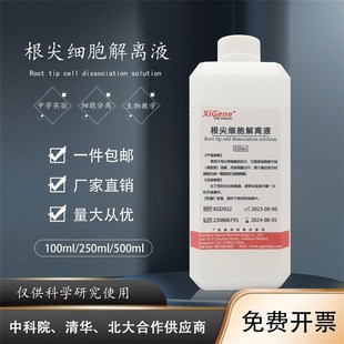 根尖细胞解离液 细胞分离 根尖分生组织细胞有丝分裂实验中生物