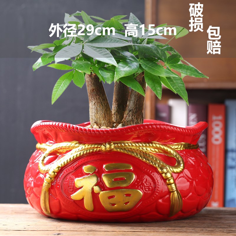 特大号陶瓷花盆中国风简约阳台室内地面种植发财树绿植盆栽蝴蝶兰