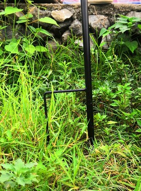 SHANGPIN 铁艺地插挂钩 园艺花插