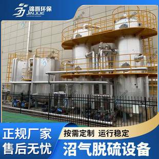 脱硫罐脱水脱硫设备沼气工程硫化氢脱除全套设备 沼气脱硫塔干式