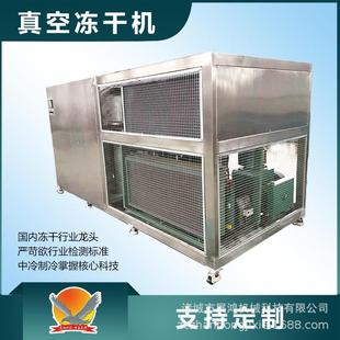 水果片冷冻干燥机松茸真空冻干机海参冻干设备