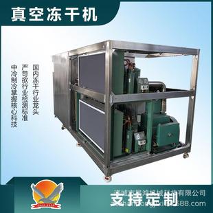 砂糖橘冻干机菠萝莓冻干设备哈密瓜冷冻干燥机