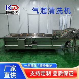 油柑酸清洗设备全自动油桃毛桃清洗机 商用水果清洗机气泡冲浪式