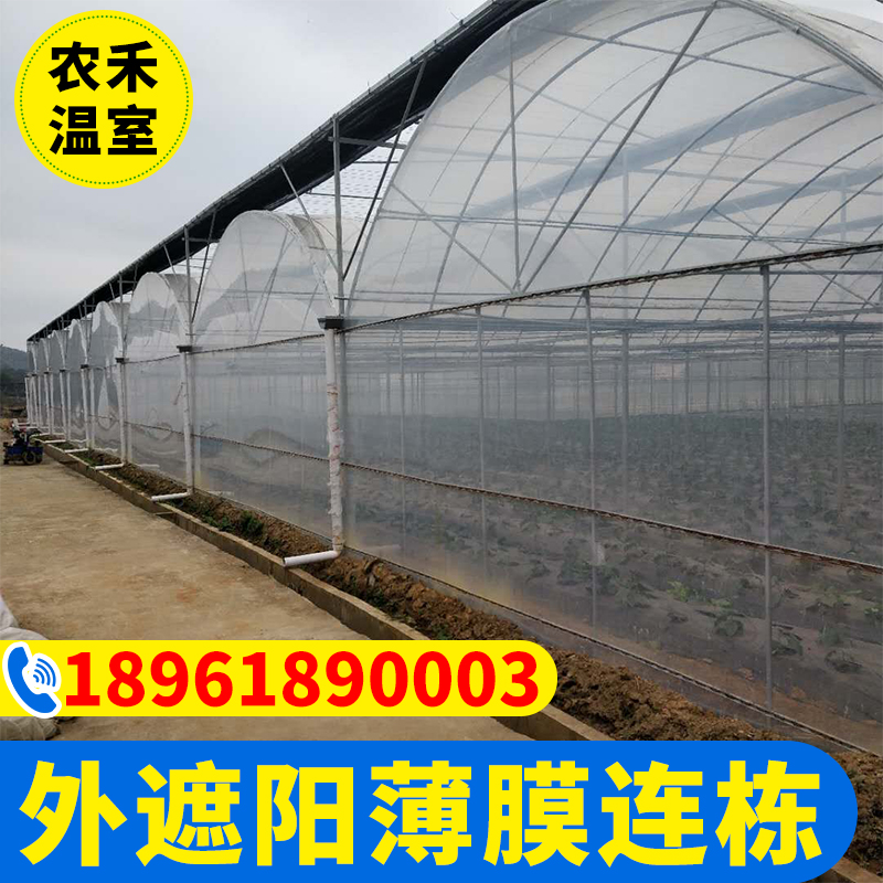8432外遮阳薄膜连栋温室大棚  猕猴桃蔬菜火龙果多肉连体大棚