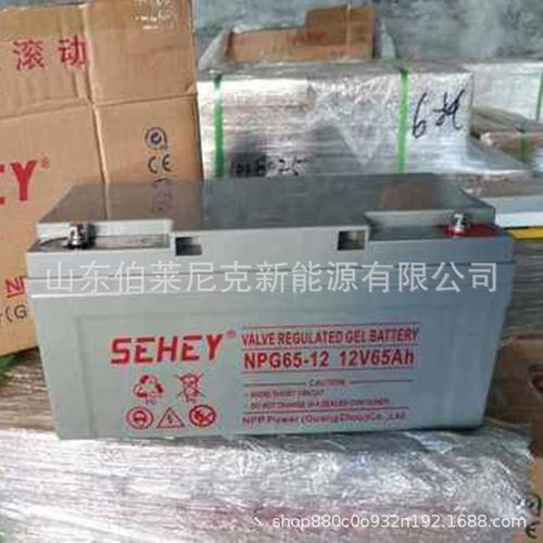 SEHEY西力蓄电池12V17AH NP12-17铅酸免维护UPS电池 EPS太阳能