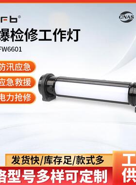 防爆检修工作灯FW6601手持应急照明多功能手电筒LED棒管灯磁吸式