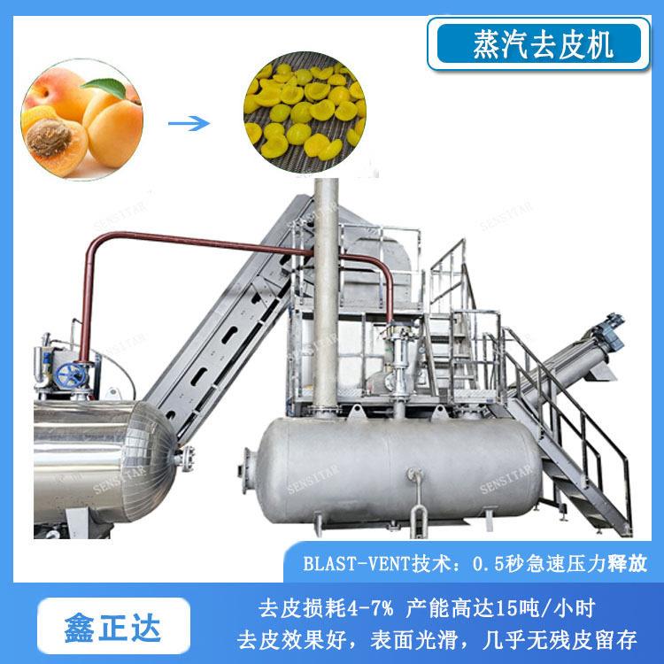 大型番茄黄桃蒸汽去皮机葡萄温蒸汽脱皮机