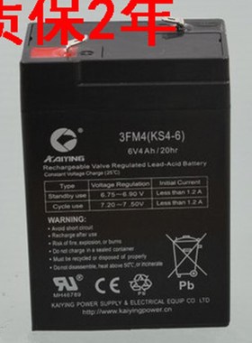 IING凯鹰蓄电池 FM( ) hH车 电子秤