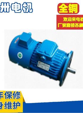 供应YTSP200L2-6YTSZ200L-6YTSP225M-6YTSZ225M-6变频电机