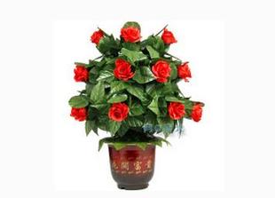 真人密室逃脱道具机关 开花机关 盆景花盆机关 自动开花