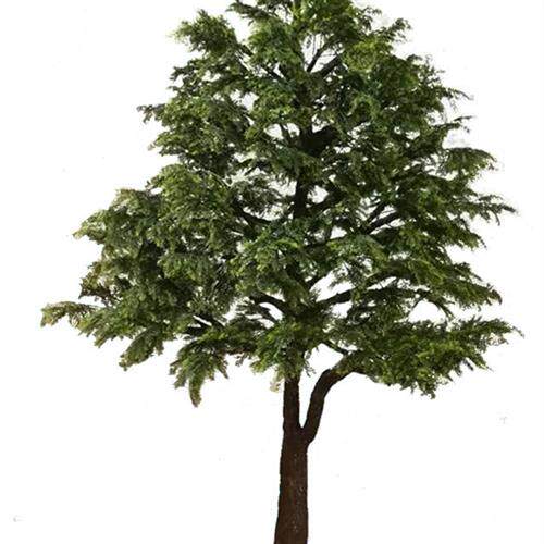 供应仿真树仿真柏树外贸受欢迎装饰植物