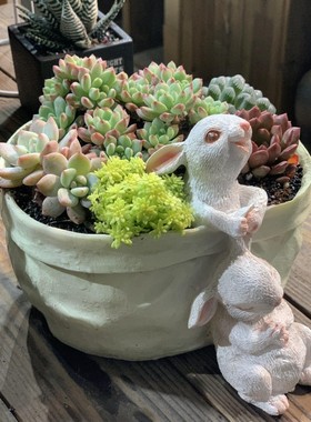臻尚口袋小兔子花器多肉花盆萌可爱装饰桌面摆件创意礼品花园阳台