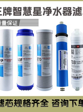 王牌智慧星净水器滤芯WP-RO-600/100/400/A6加热一体机10寸PP五级