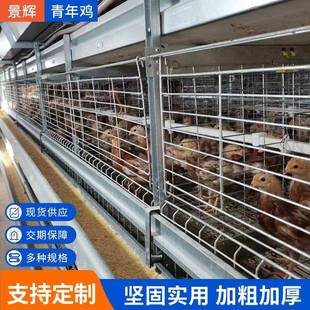 厂家供应青年鸡现货蛋肉鸡笼小鸡龙鹌鹑笼可做全自