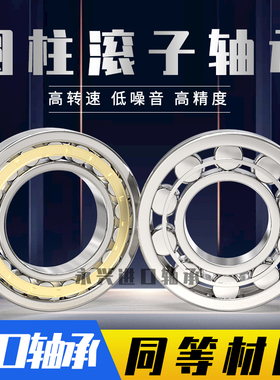 圆柱滚子轴承NJ418 419 420 424 426 428EM