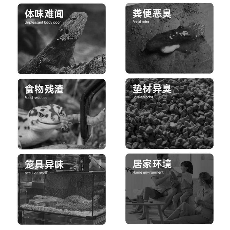 爬宠粪便除臭除异味爬虫饲养箱雨林缸守宫鬃狮蜥蜴蛇杀菌消毒喷剂,宠物/宠物食品及用品,爬宠清洁及日用品,淘宝优惠券,粉丝福利购,淘宝优惠卷