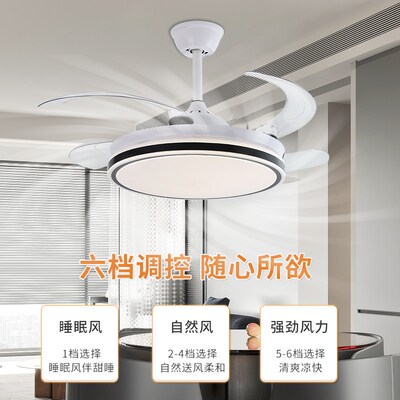 隐形风扇灯吊扇灯吸顶家用客厅餐厅卧室大风力变频简约电扇l吊灯