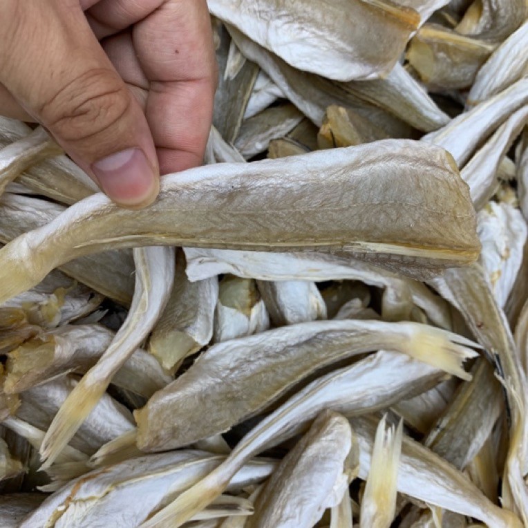 裕蚝专线开渔节角鱼红娘鱼干可油煎清蒸坏了包退包赔支持试吃