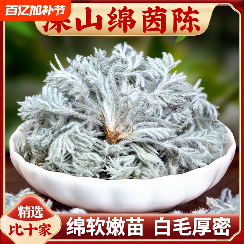 野生茵陈中药材五味子正品官方旗舰店三月绵茵陈白蒿泡茶功效新鲜