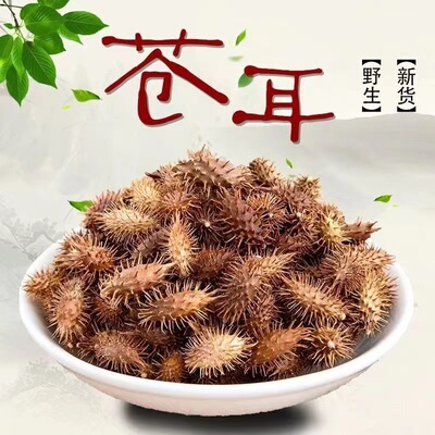 中药材特级野生苍耳子新货老籽炒仓耳子带刺外用500g克另有辛夷花