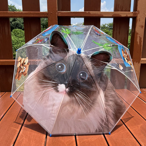 新款儿童雨伞耳朵伞安全手D立体爱熊猫加厚创意宝宝长柄