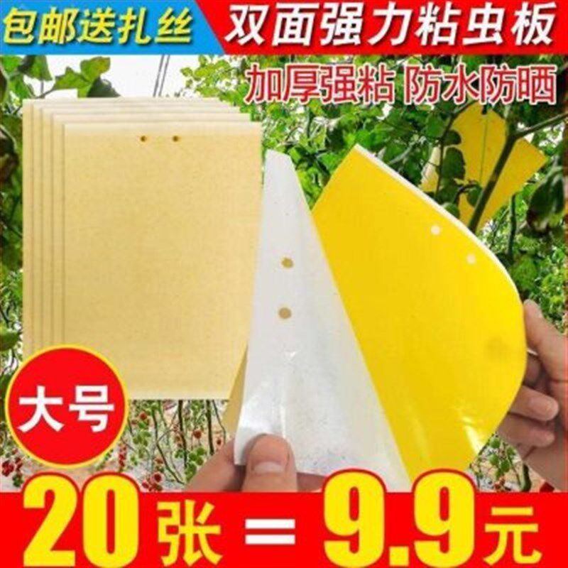 新款虫子蔬菜黄柑橘粘果蝇粘板蜜蜂白粉园林幼虫板沾虱蝇飞虫纸