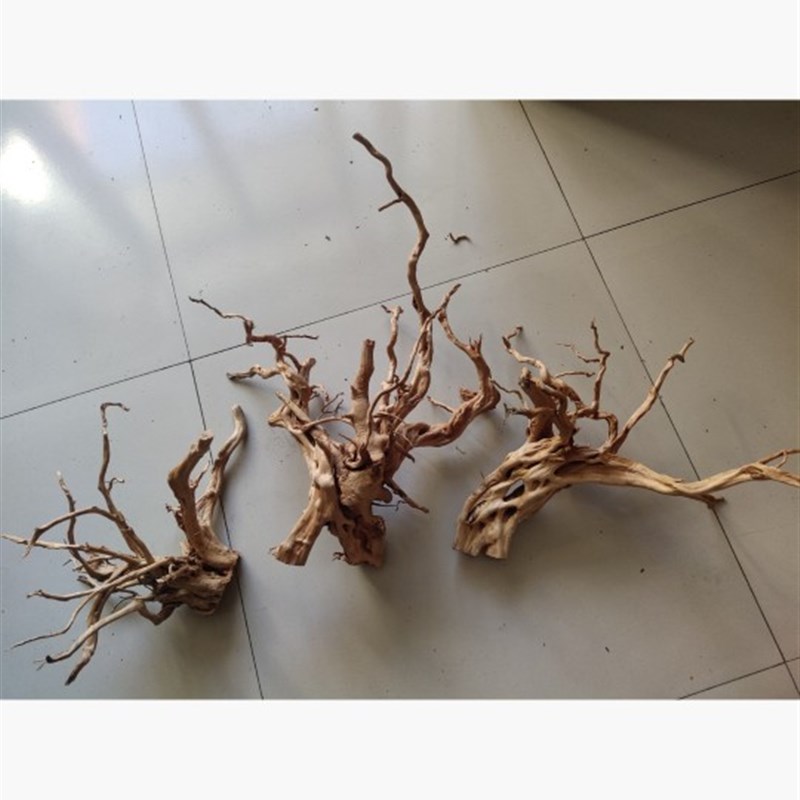 杜鹃根树枝树根鱼缸造景沉木树热带雨林花艺装饰干支枯枝装饰木头