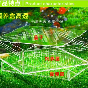 杜比亚蟋蟀面包虫饲养盒亚克力饲养盒粪便分离式活虫饲养盒透明盒