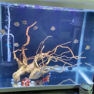 杜鹃根已煮 精品沉木成品树形枝条 水族鱼缸天然造景摆件装饰品
