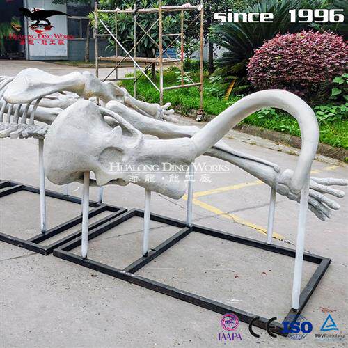 远古猛犸象骨骼化石美陈教学展品玻璃钢制品仿真动物仿真恐龙厂家