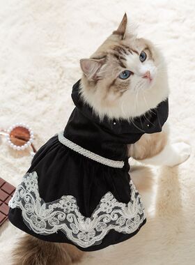 宠物猫咪公主风天鹅绒连衣裙秋冬季衣服银渐层布偶英短幼猫防掉毛
