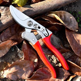 园艺剪枝剪刀修枝剪粗枝剪园林花艺剪子修剪树枝专用省力剪切工具