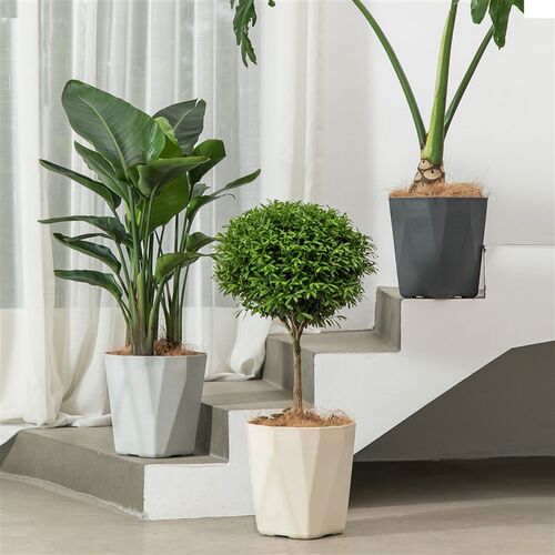 特大号无孔家居花盆塑料家用简约客厅落地绿植加厚T深花盆模具定